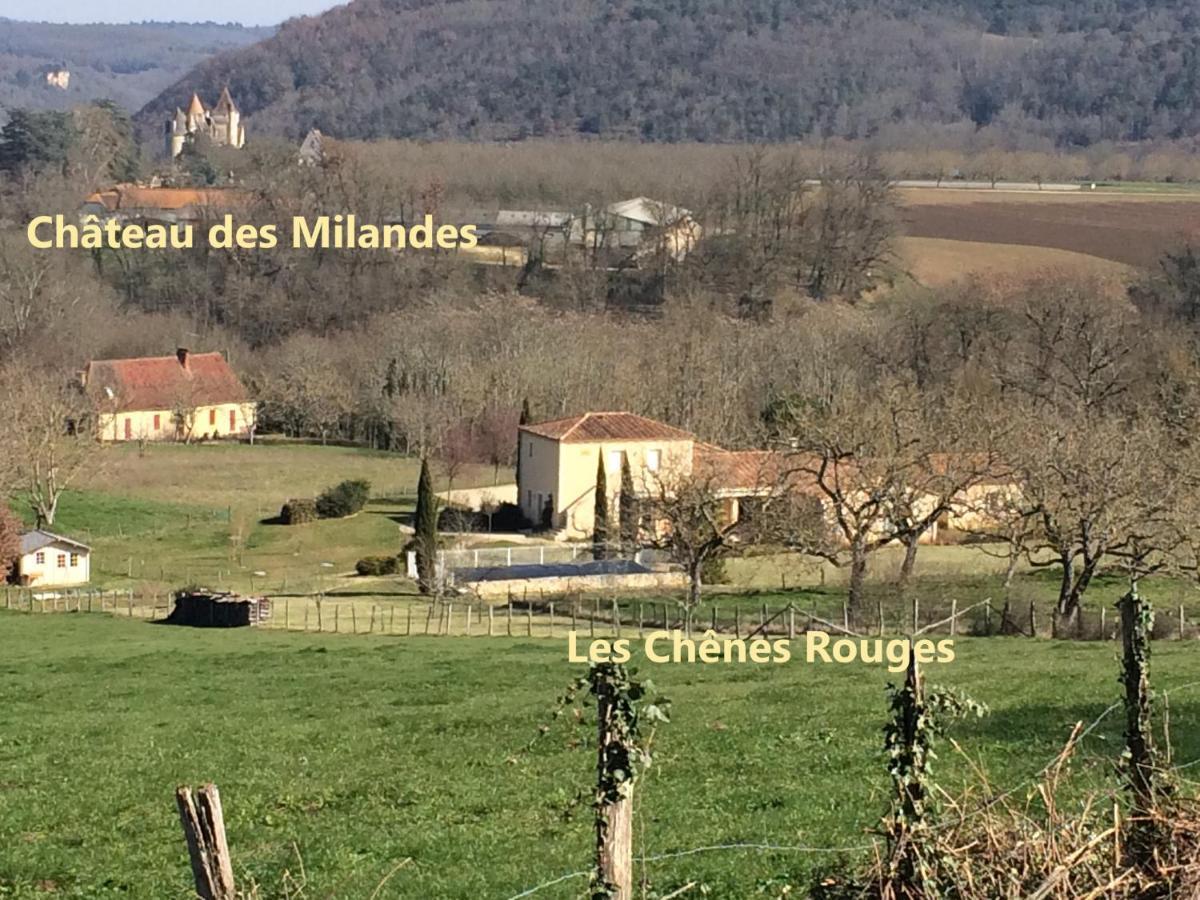 Bed and Breakfast Les Chenes Rouges Veyrines-de-Domme Exteriér fotografie